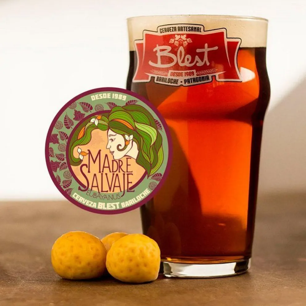 42600304_1830913343612912_4507145947507064832_n