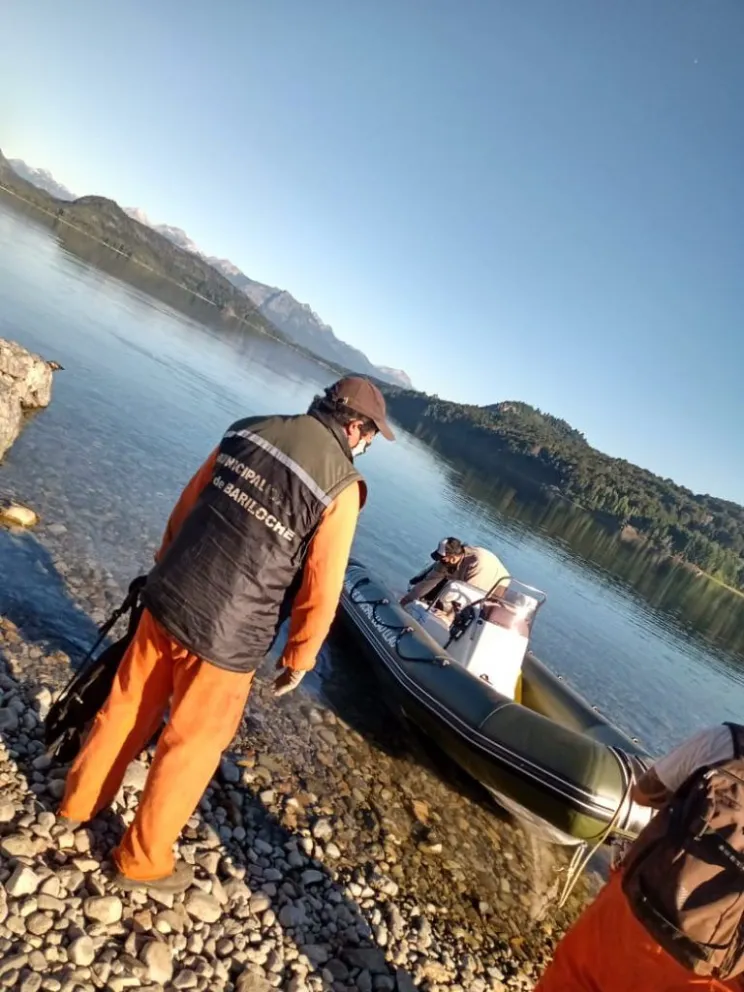 a5ce0116-ea0f-47c5-b3db-a1776997f439-768x1024 (1)